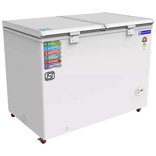 Blue Star 300L Deep Freezer - Restaurant Grade